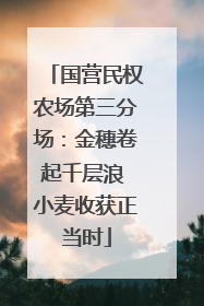 国营民权农场第三分场：金穗卷起千层浪 小麦收获正当时